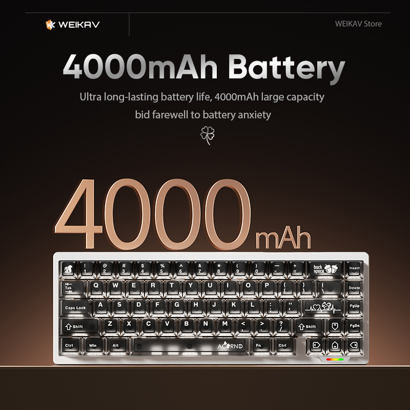 WEIKAV Lucky65 V3 Lucky65V3 Wi - Gaming Keyboard Bundle のレビューと価格